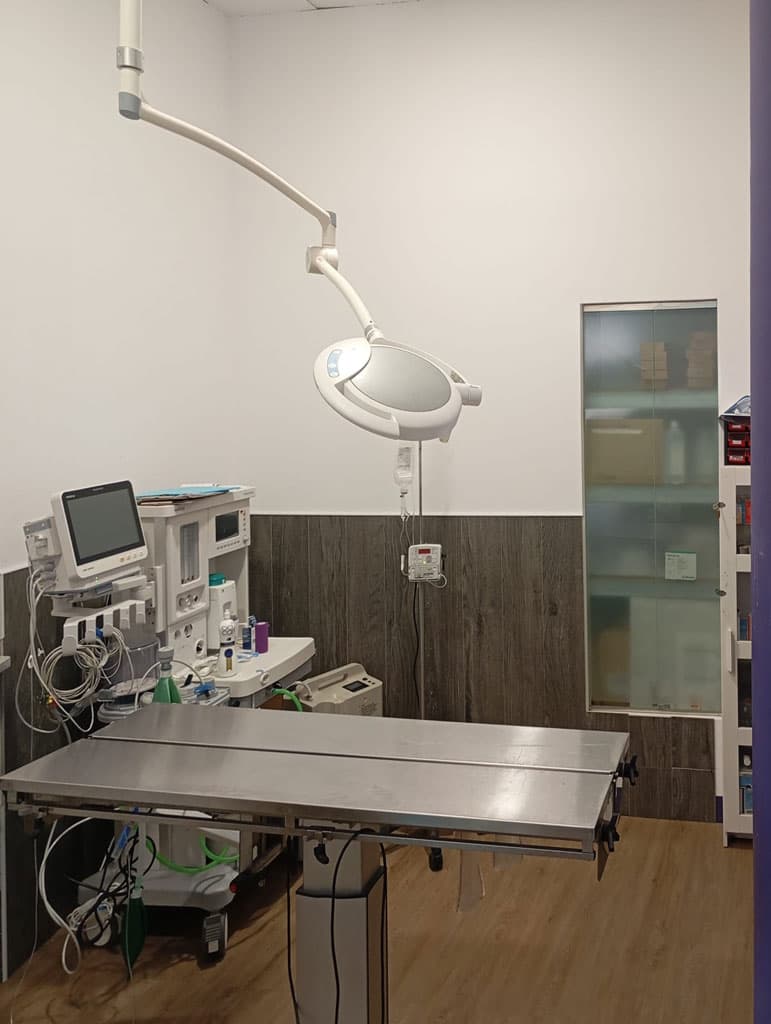 Clínica veterinaria en Cee